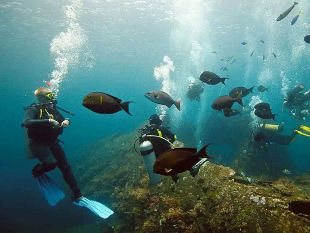 Bali: Podmořské dobrodružství