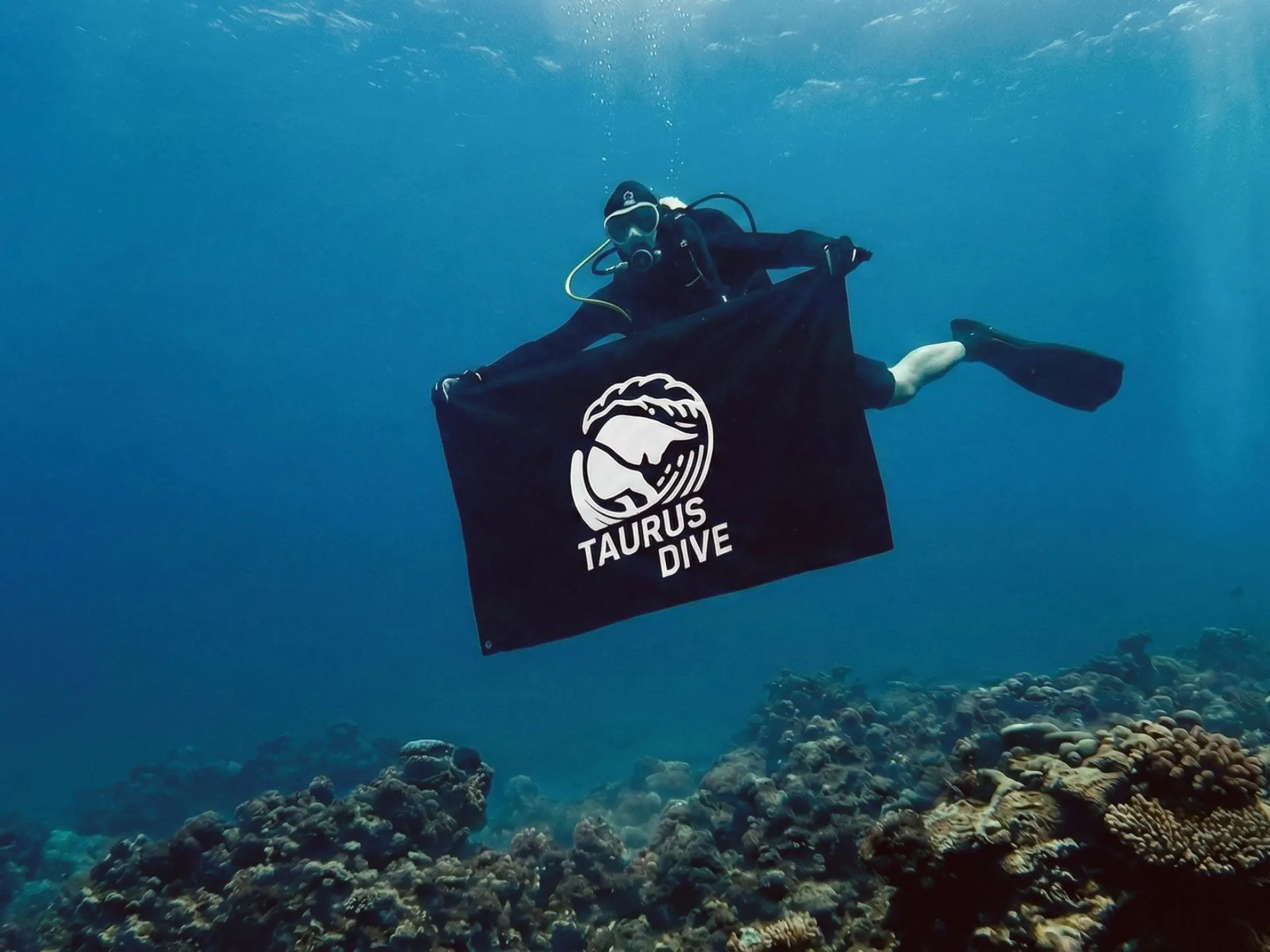 taurus-dive-dive_team_2_parallax