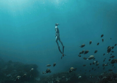 Taurus Dive - potápění, kurzy, zájezdy