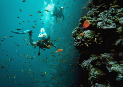 Taurus Dive - potápění, kurzy, zájezdy